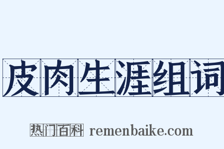 皮肉生涯组词是什么意思的图片